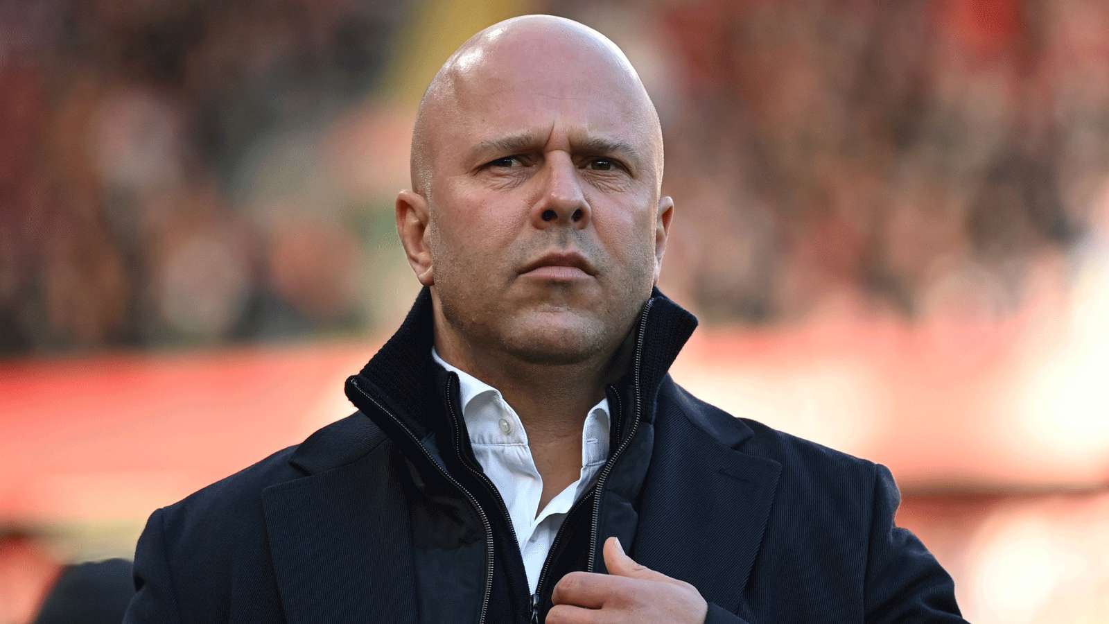 增添了更多 增添了更多